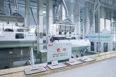 金健米业生产中心 以信息科技驱动成本控制，全面深化提质增效